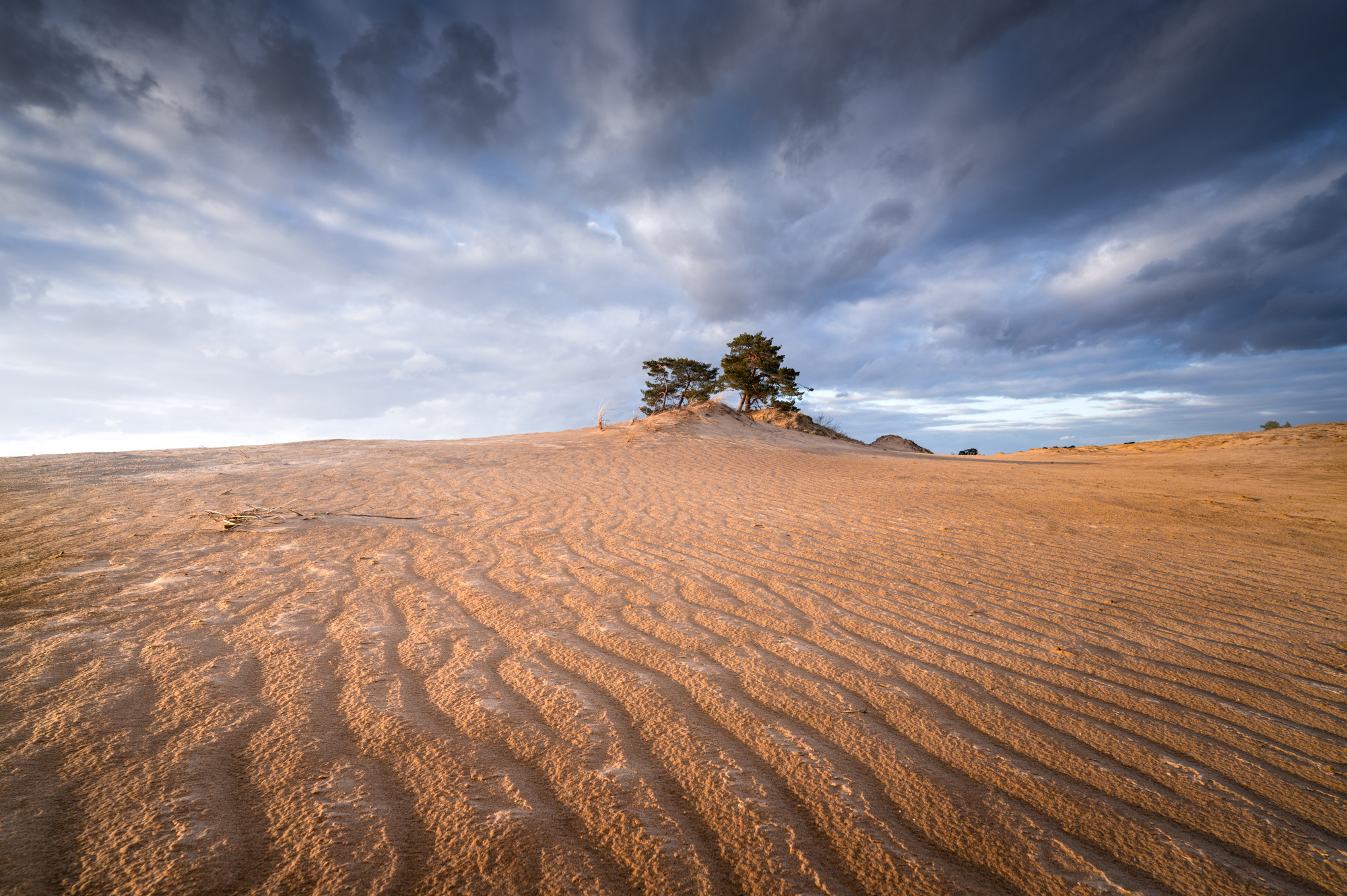 Fotografare con il nuovo obiettivo FE 14 mm f/1.8 G Master