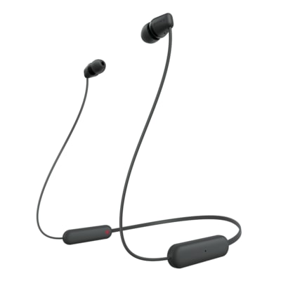 JVC HAEB75S, Cuffia Intrauricolare con Gancio per Orecchio (16-20000 Hz, 1,2 m), Nero e Argento