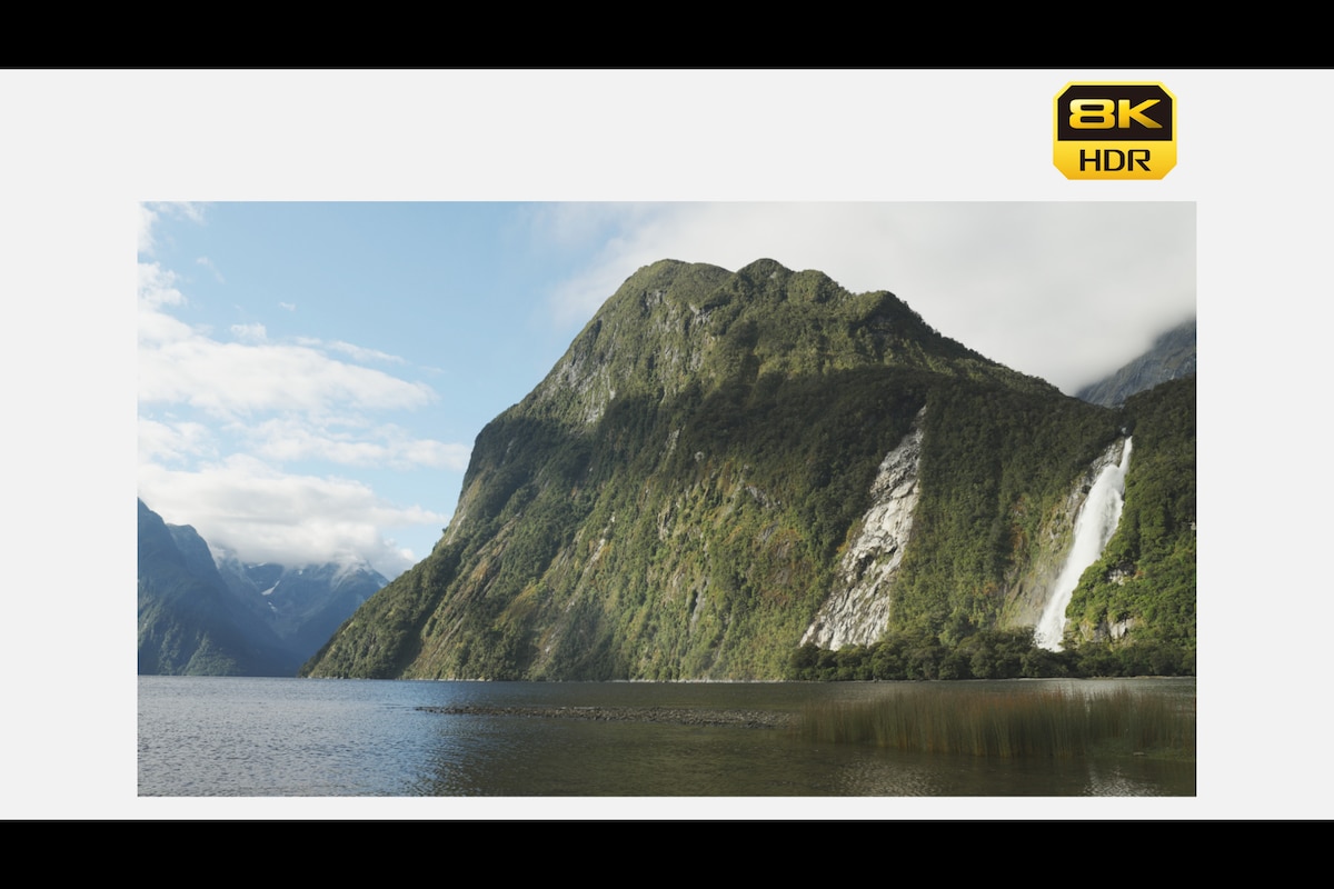 Immagine di esempio di una foto tratta da un video in 8K.