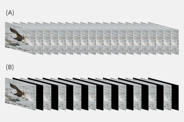Sequenze di immagini con e senza interruzioni